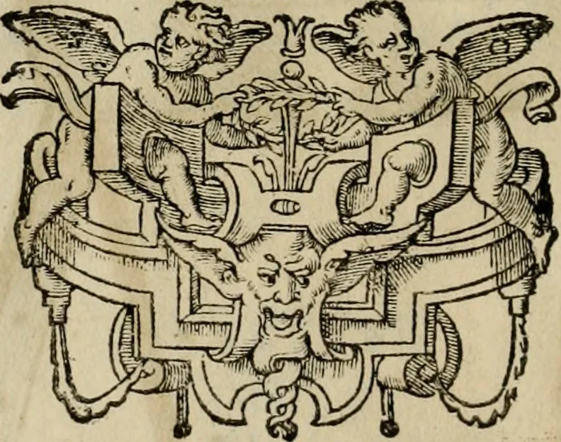 An illustration from L'escuyer françois : qui enseigne a monter a cheval et a voltiger par une methode toute particuliere, 1679, leaf 45