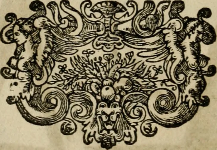 An illustration from L'escuyer françois : qui enseigne a monter a cheval et a voltiger par une methode toute particuliere, 1679, leaf 49