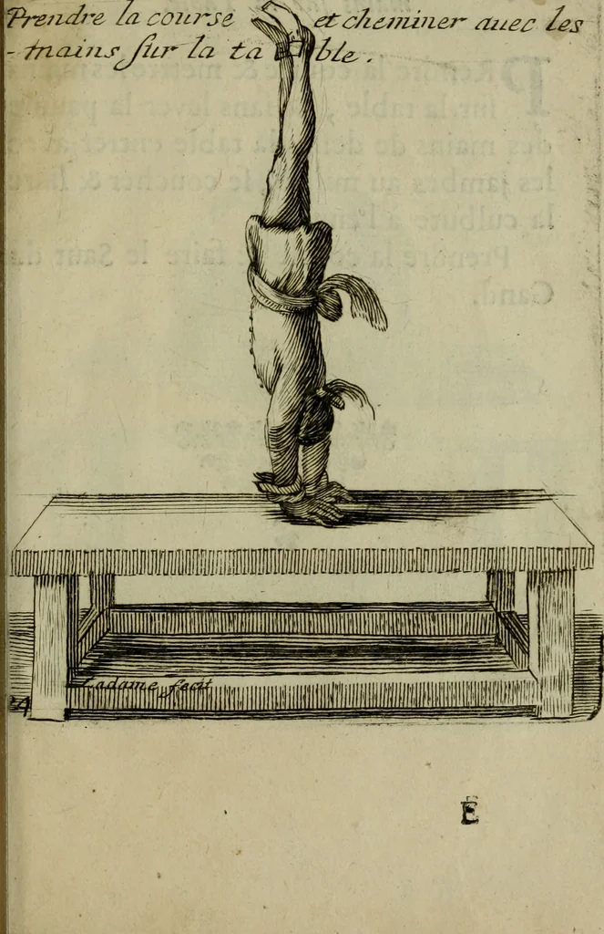 An illustration from L'escuyer françois : qui enseigne a monter a cheval et a voltiger par une methode toute particuliere, 1679, leaf 72