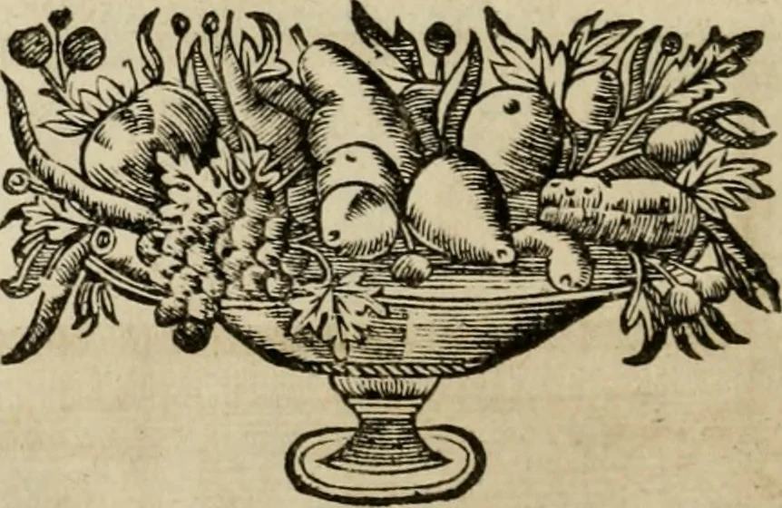 An illustration from L'escuyer françois : qui enseigne a monter a cheval et a voltiger par une methode toute particuliere, 1679, leaf 75