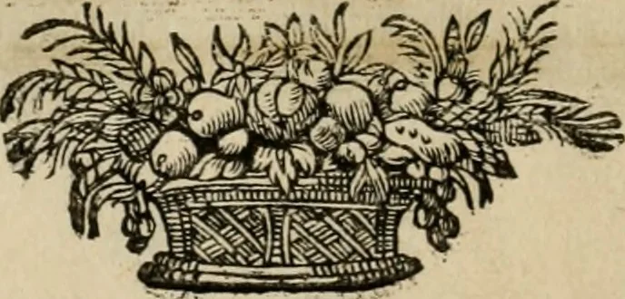 An illustration from L'escuyer françois : qui enseigne a monter a cheval et a voltiger par une methode toute particuliere, 1679, leaf 79