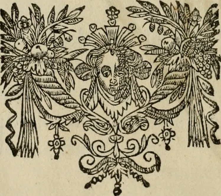 An illustration from L'escuyer françois : qui enseigne a monter a cheval et a voltiger par une methode toute particuliere, 1679, leaf 81