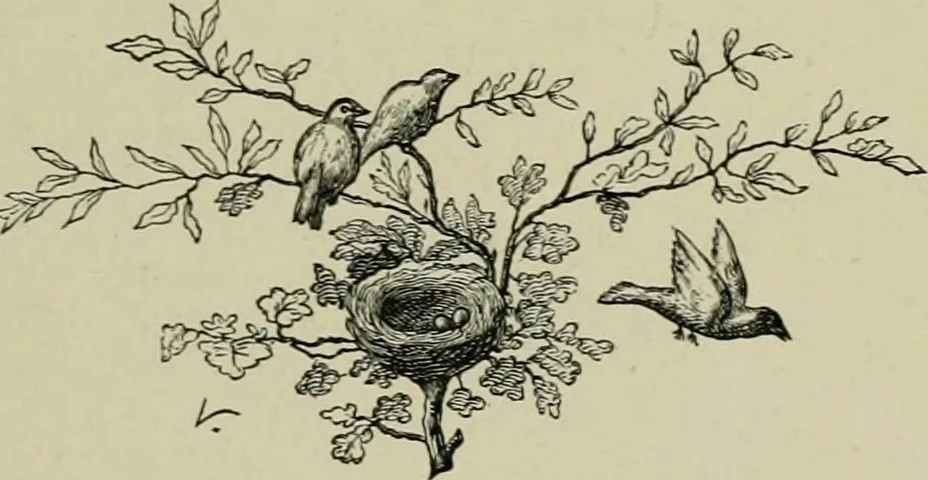 An illustration from Les débuts d'un peintre, 1886, leaf 32