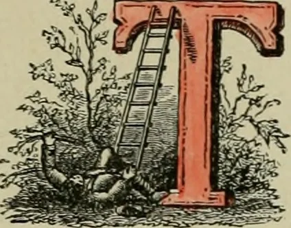 An illustration from Les débuts d'un peintre, 1886, leaf 38