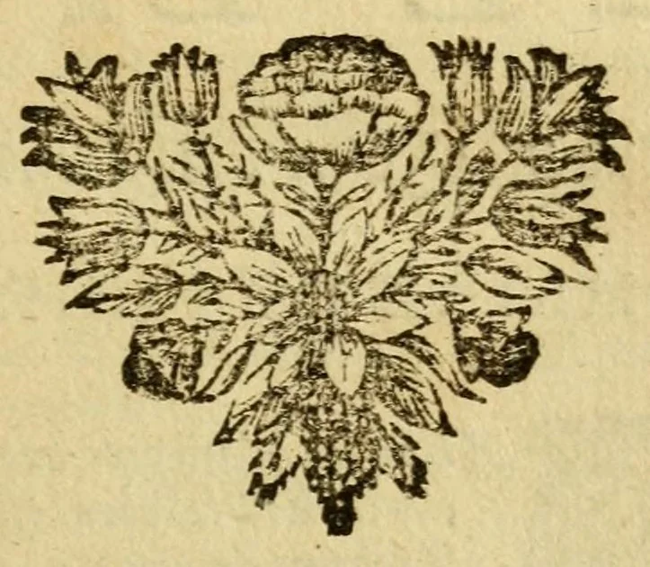 An illustration from Les decades de Tite-Live : avec les supplemens de J. Freinshemius; nouvellement augmentees d'un abrege chronologique: mises en Francois, 1700, leaf 311