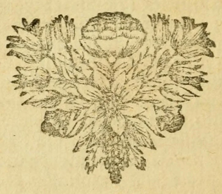 An illustration from Les decades de Tite-Live : avec les supplemens de J. Freinshemius; nouvellement augmentees d'un abrege chronologique: mises en Francois, 1700, leaf 400