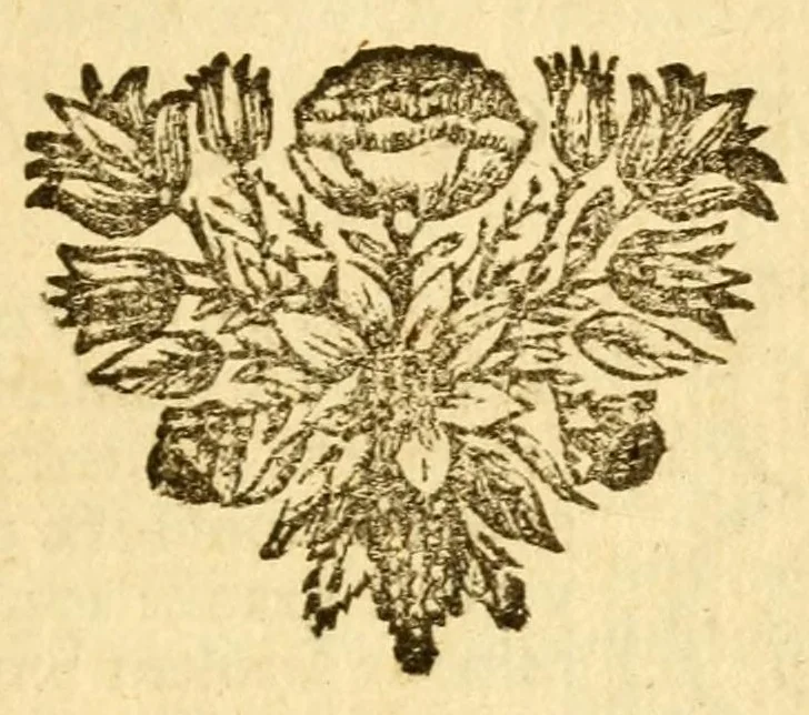 An illustration from Les decades de Tite-Live : avec les supplemens de J. Freinshemius; nouvellement augmentees d'un abrege chronologique: mises en Francois, 1700, leaf 13
