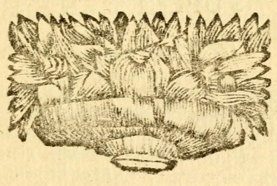 An illustration from Les decades de Tite-Live : avec les supplemens de J. Freinshemius; nouvellement augmentees d'un abrege chronologique: mises en Francois, 1700, leaf 211