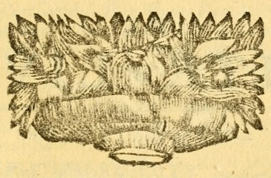 An illustration from Les decades de Tite-Live : avec les supplemens de J. Freinshemius; nouvellement augmentees d'un abrege chronologique: mises en Francois, 1700, leaf 233