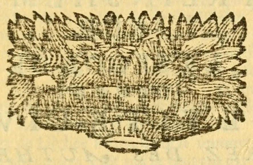 An illustration from Les decades de Tite-Live : avec les supplemens de J. Freinshemius; nouvellement augmentees d'un abrege chronologique: mises en Francois, 1700, leaf 285