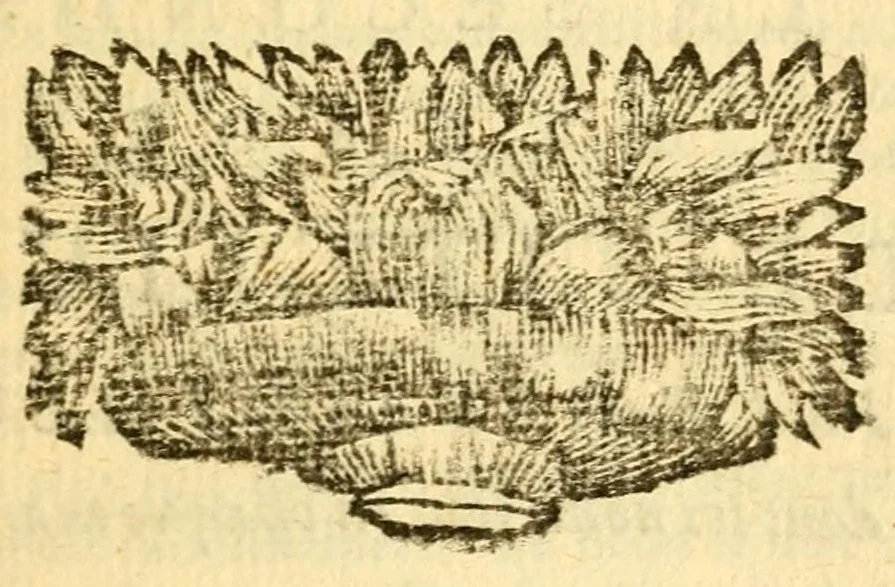 An illustration from Les decades de Tite-Live : avec les supplemens de J. Freinshemius; nouvellement augmentees d'un abrege chronologique: mises en Francois, 1700, leaf 37