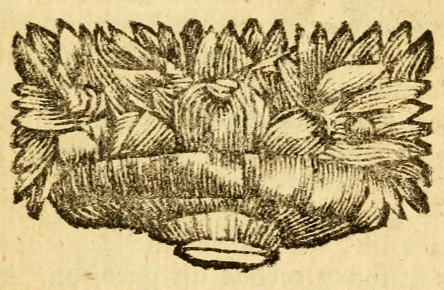 An illustration from Les decades de Tite-Live : avec les supplemens de J. Freinshemius; nouvellement augmentees d'un abrege chronologique: mises en Francois, 1700, leaf 175