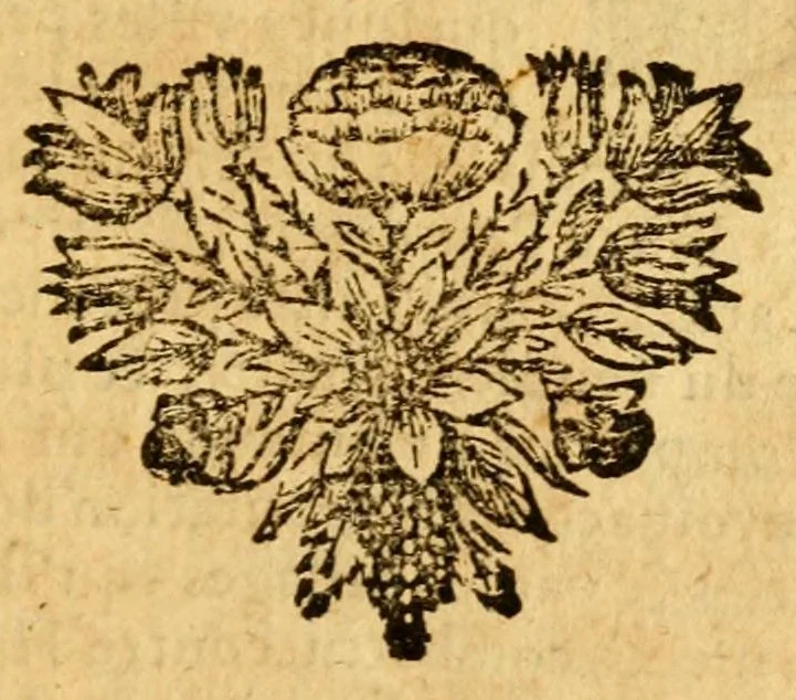 An illustration from Les decades de Tite-Live : avec les supplemens de J. Freinshemius; nouvellement augmentees d'un abrege chronologique: mises en Francois, 1700, leaf 319