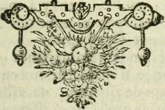 An illustration from Les delices de la Hollande ... Avec un traité du gouvernement, et un abregé de ce qui s'est passé de plus memorable, iusques à l'an de grace 1650, 1655, leaf 358