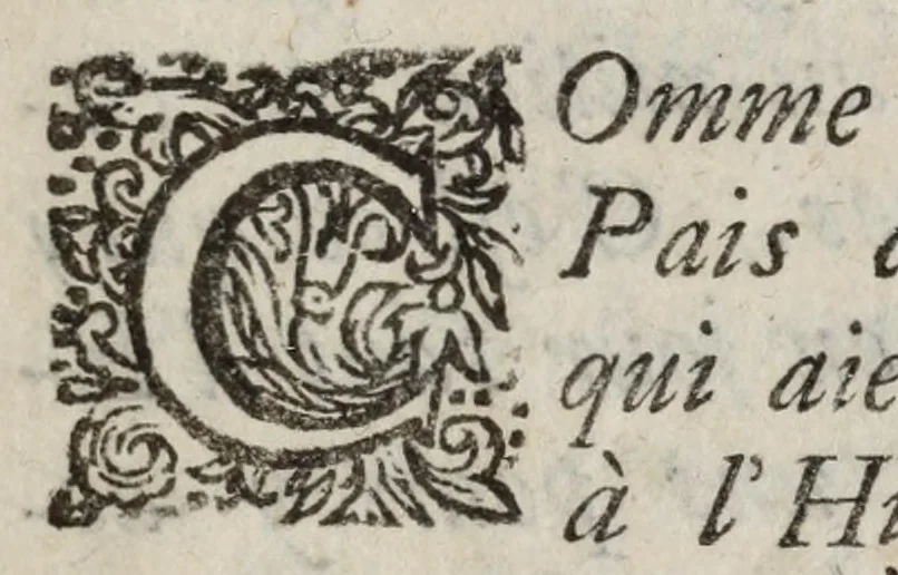 An illustration from Les delices des Pais-Bas, ou, Description generale de ses dix-sept provinces, de ses principales villes & de ses lieux les plus renommez dans la situation où se trouvent depuis la Paix de Ryswyck, 1700, leaf 11