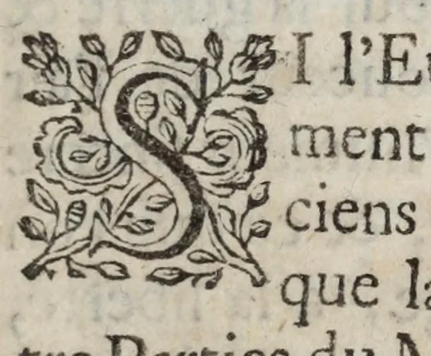 An illustration from Les delices des Pais-Bas, ou, Description generale de ses dix-sept provinces, de ses principales villes & de ses lieux les plus renommez dans la situation où se trouvent depuis la Paix de Ryswyck, 1700, leaf 17