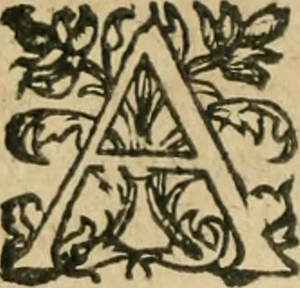 An illustration from Les discovrs militaires, 1618, leaf 45