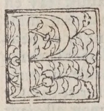An illustration from Les diuerses fantasies des hommes et des femmes, 1538, leaf 208