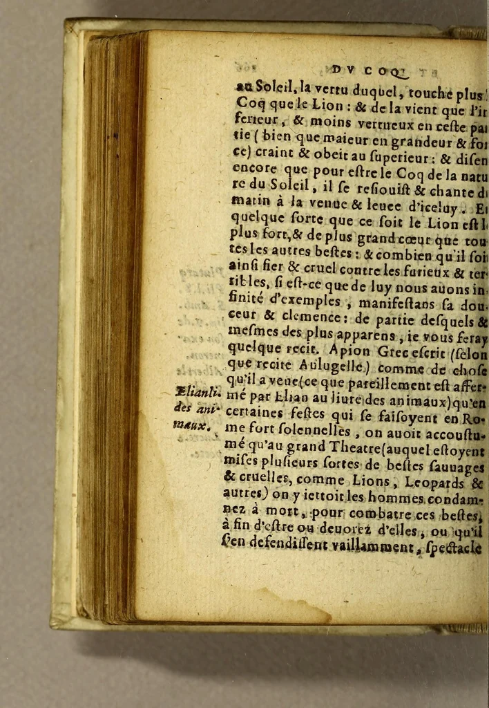 An illustration from Les diverses leçons, 1569, leaf 338