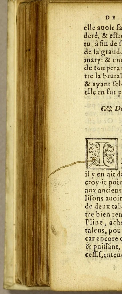 An illustration from Les diverses leçons, 1569, leaf 428