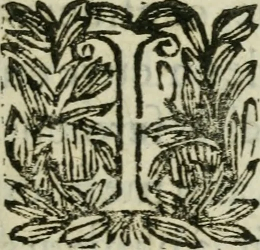 An illustration from Les dovze clefs de philosophie de frere Basile Valentin ... : traictant de la vraye medecine metalique : plus l'Azoth, ou, Le moyen de faire l'or caché des philosophes : traduction francoise, 1660, leaf 12