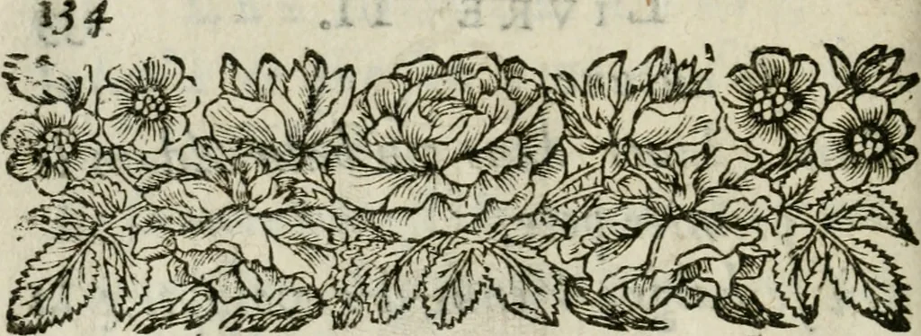 An illustration from Les dovze clefs de philosophie de frere Basile Valentin ... : traictant de la vraye medecine metalique : plus l'Azoth, ou, Le moyen de faire l'or caché des philosophes : traduction francoise, 1660, leaf 161
