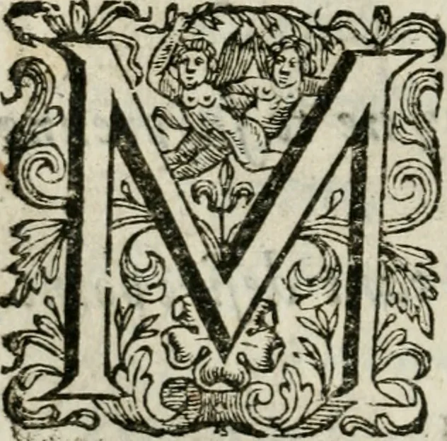 An illustration from Les dovze clefs de philosophie de frere Basile Valentin ... : traictant de la vraye medecine metalique : plus l'Azoth, ou, Le moyen de faire l'or caché des philosophes : traduction francoise, 1660, leaf 161