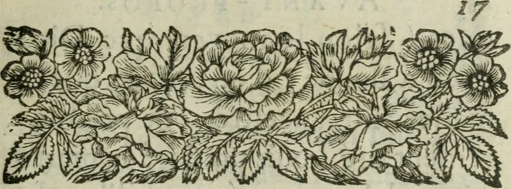 An illustration from Les dovze clefs de philosophie de frere Basile Valentin ... : traictant de la vraye medecine metalique : plus l'Azoth, ou, Le moyen de faire l'or caché des philosophes : traduction francoise, 1660, leaf 20