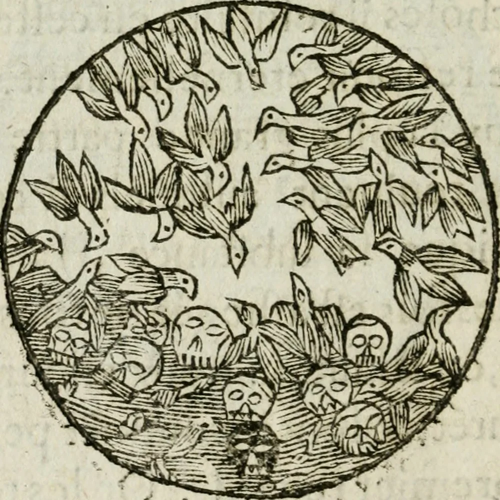 An illustration from Les dovze clefs de philosophie de frere Basile Valentin ... : traictant de la vraye medecine metalique : plus l'Azoth, ou, Le moyen de faire l'or caché des philosophes : traduction francoise, 1660, leaf 369
