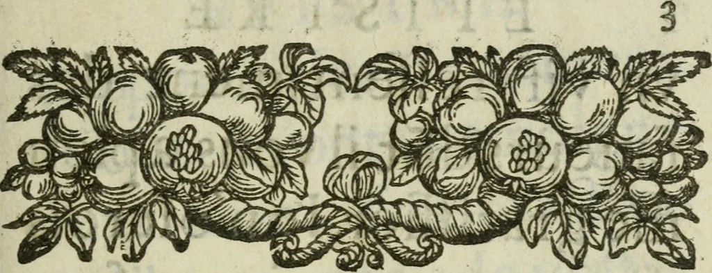 An illustration from Les dovze clefs de philosophie de frere Basile Valentin ... : traictant de la vraye medecine metalique : plus l'Azoth, ou, Le moyen de faire l'or caché des philosophes : traduction francoise, 1660, leaf 6