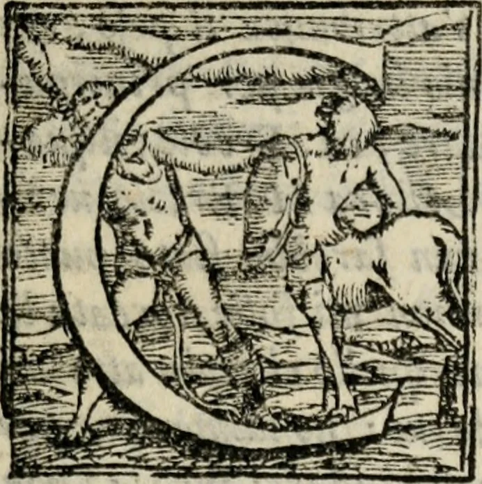 An illustration from Le sei giornate di M. Sebastiano Erizzo, 1567, leaf 114