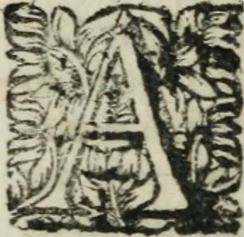 An illustration from Les Eloges des hommes scavans : tirez de l'Histoire de M. de Thou : avec des additions contenant l'abrégé de leur vie, le jugement & le catalogue de leurs ouvrages, 1697, leaf 459