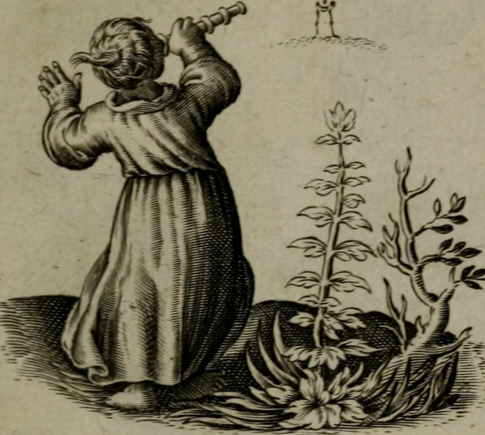 An illustration from Les emblemes d'amour diuin et humain ensemble : expliquez par des vers françois, 1640, leaf 180