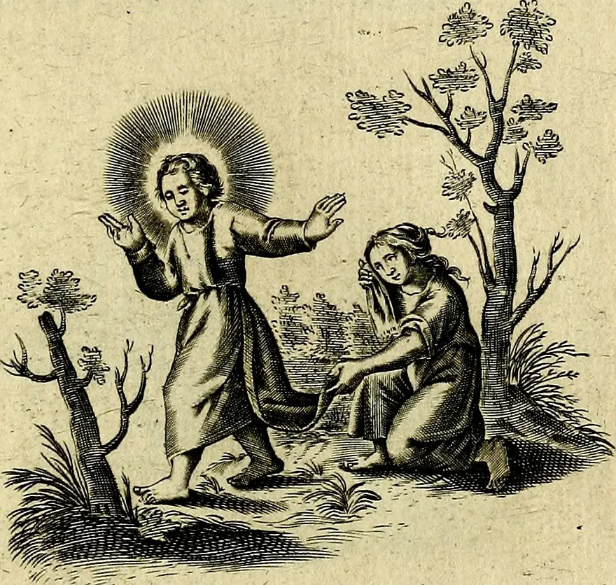 An illustration from Les emblemes d'amour divin et humain ensemble : expliquez par des vers françois, 1640, leaf 106
