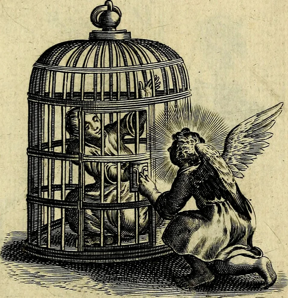 An illustration from Les emblemes d'amour divin et humain ensemble : expliquez par des vers françois, 1640, leaf 222