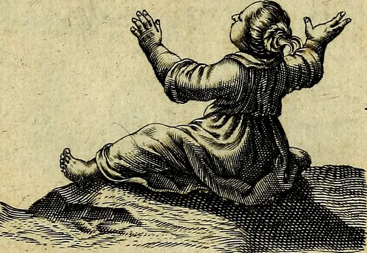 An illustration from Les emblemes d'amour divin et humain ensemble : expliquez par des vers françois, 1640, leaf 230
