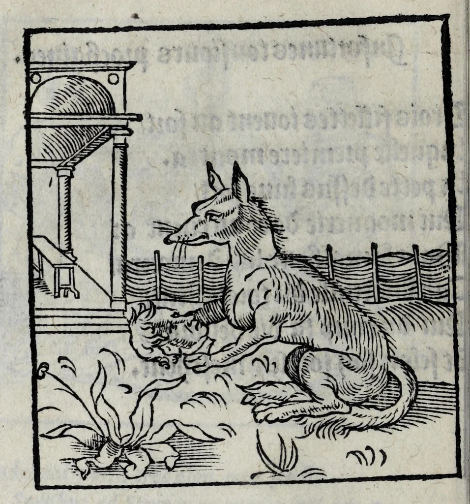 An illustration from Les emblemes de maistre Andre Alciat, mis en rime francoyse, [et] puis nagueres reimprime auec curieuse correction, 1539, leaf 120