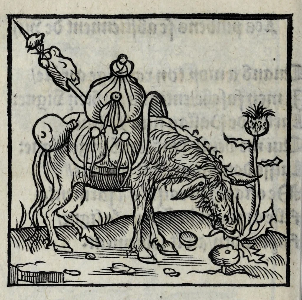 An illustration from Les emblemes de maistre Andre Alciat, mis en rime francoyse, [et] puis nagueres reimprime auec curieuse correction, 1539, leaf 128