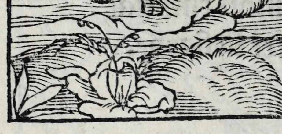 An illustration from Les emblemes de maistre Andre Alciat, mis en rime francoyse, [et] puis nagueres reimprime auec curieuse correction, 1539, leaf 142