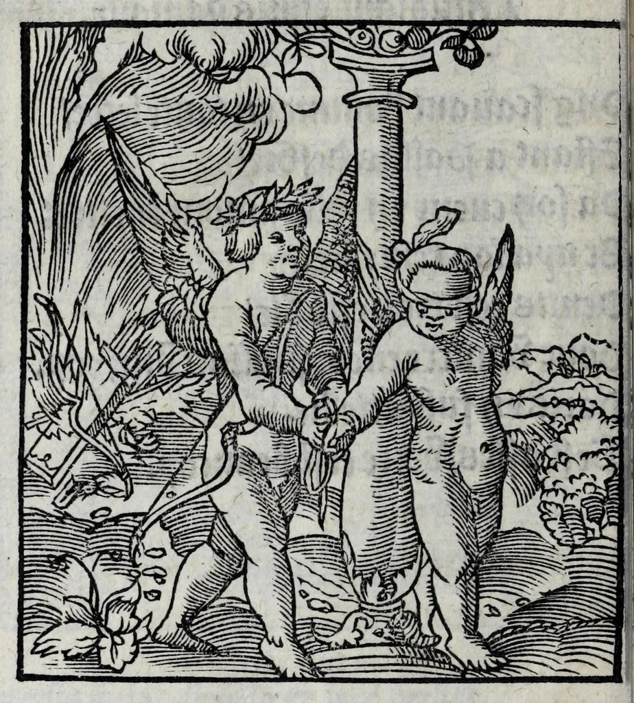 An illustration from Les emblemes de maistre Andre Alciat, mis en rime francoyse, [et] puis nagueres reimprime auec curieuse correction, 1539, leaf 172