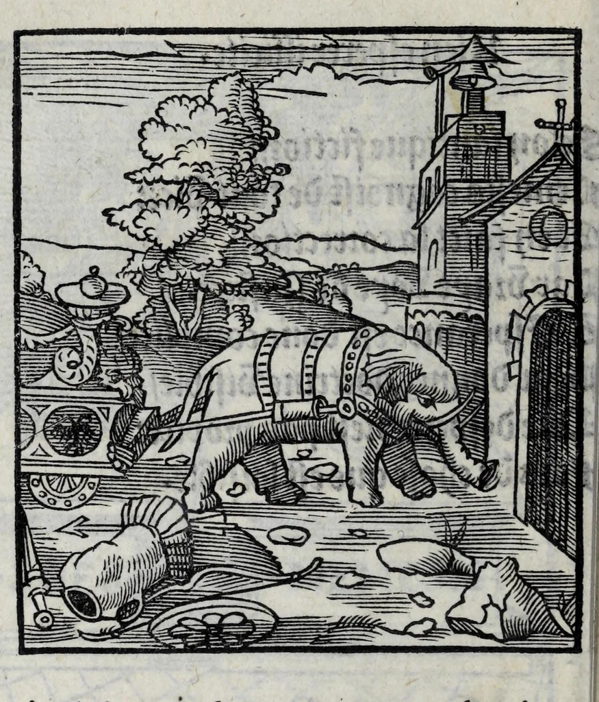 An illustration from Les emblemes de maistre Andre Alciat, mis en rime francoyse, [et] puis nagueres reimprime auec curieuse correction, 1539, leaf 192