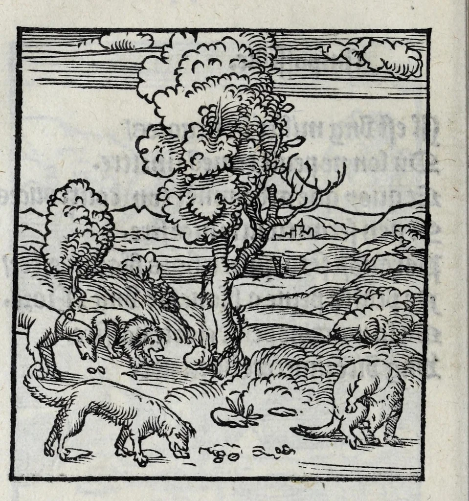 An illustration from Les emblemes de maistre Andre Alciat, mis en rime francoyse, [et] puis nagueres reimprime auec curieuse correction, 1539, leaf 202