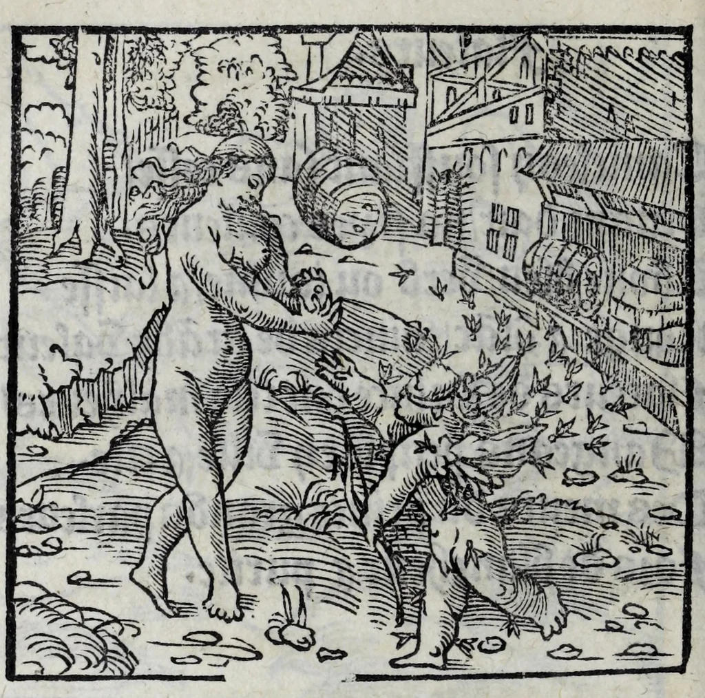 An illustration from Les emblemes de maistre Andre Alciat, mis en rime francoyse, [et] puis nagueres reimprime auec curieuse correction, 1539, leaf 210