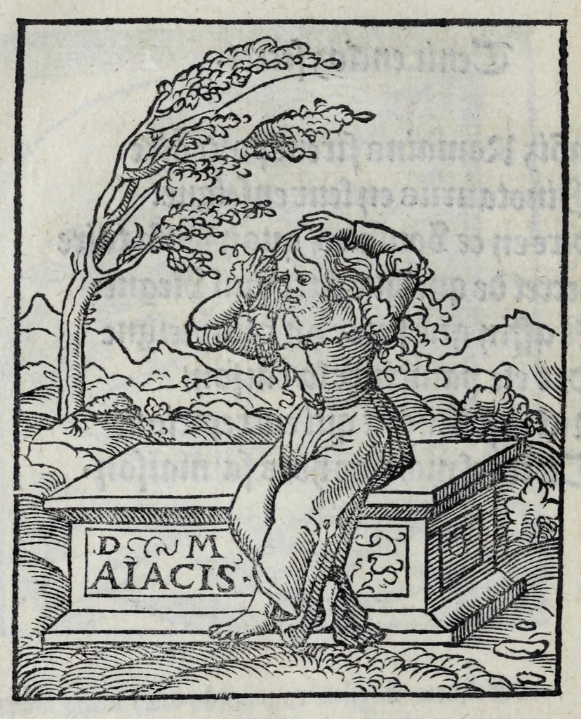 An illustration from Les emblemes de maistre Andre Alciat, mis en rime francoyse, [et] puis nagueres reimprime auec curieuse correction, 1539, leaf 40