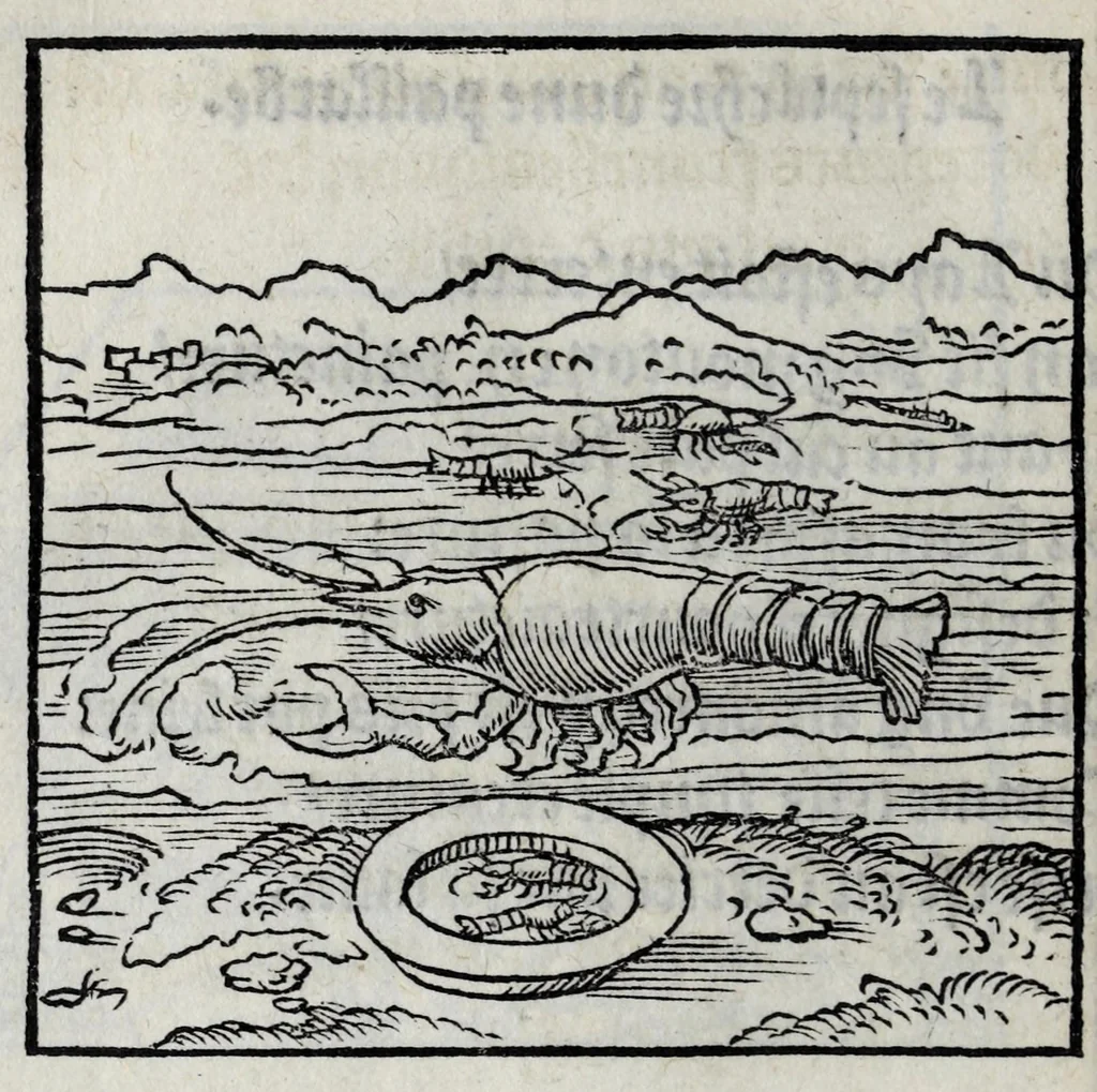 An illustration from Les emblemes de maistre Andre Alciat, mis en rime francoyse, [et] puis nagueres reimprime auec curieuse correction, 1539, leaf 76