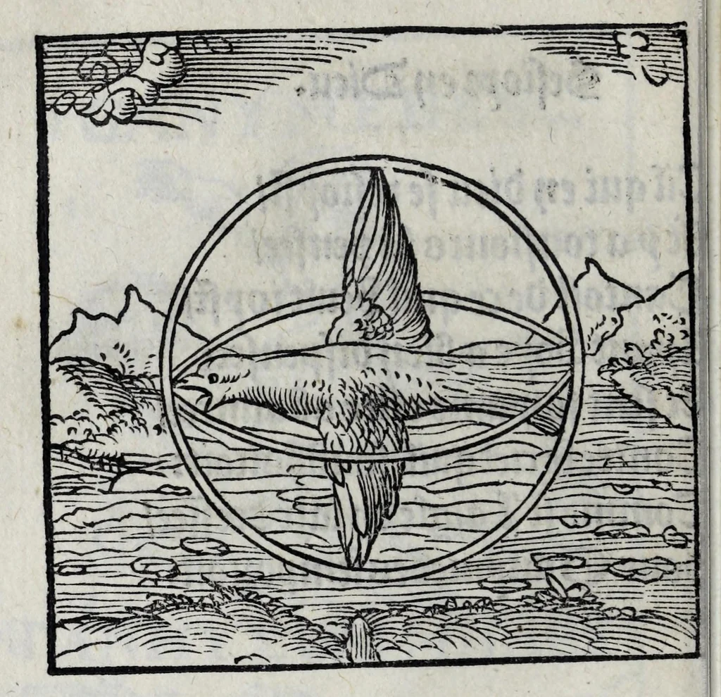 An illustration from Les emblemes de maistre Andre Alciat, mis en rime francoyse, [et] puis nagueres reimprime auec curieuse correction, 1539, leaf 90
