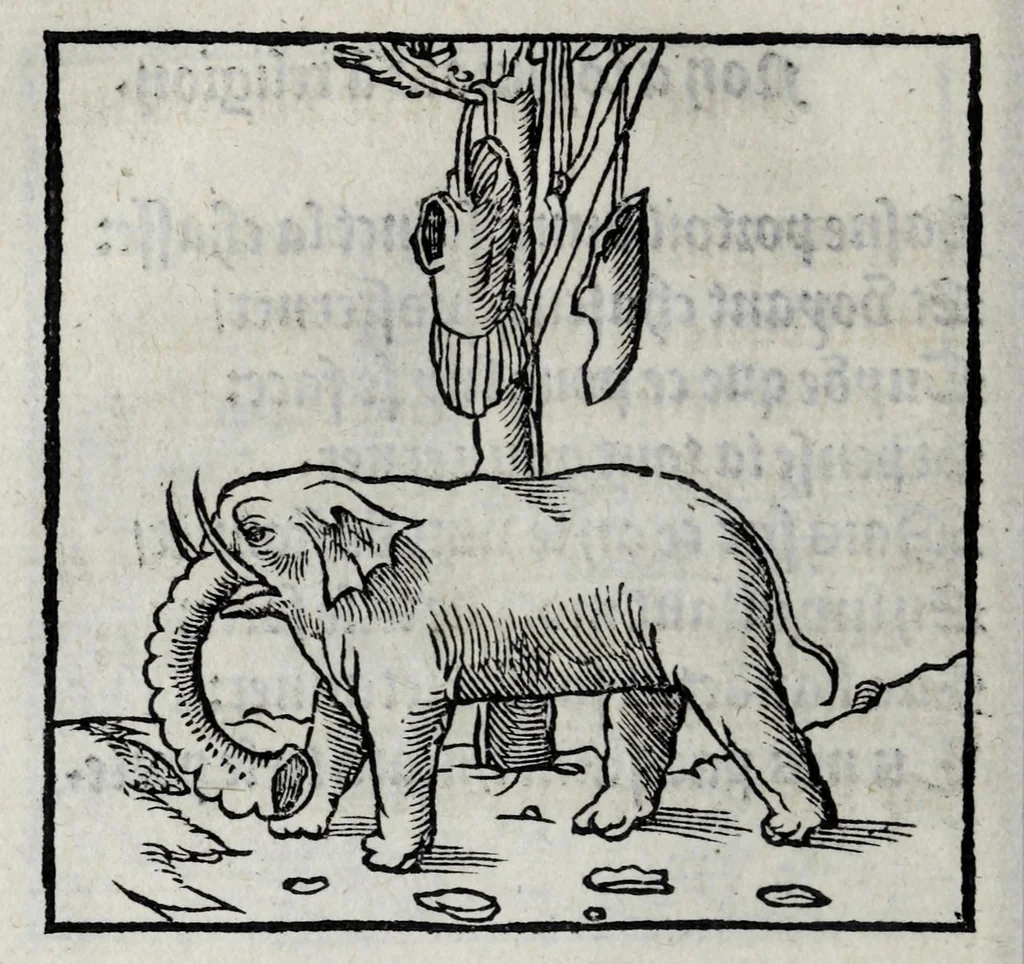 An illustration from Les emblemes de maistre Andre Alciat, mis en rime francoyse, [et] puis nagueres reimprime auec curieuse correction, 1539, leaf 96