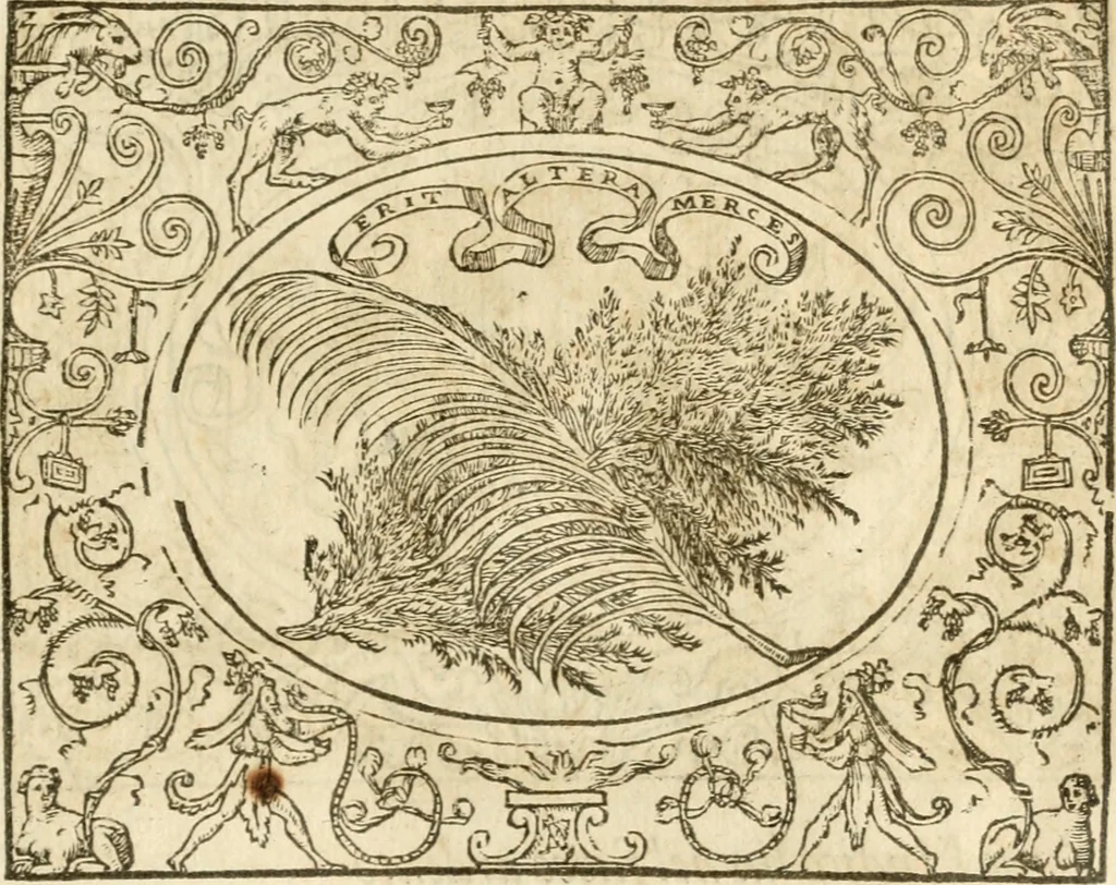 An illustration from Le sententiose imprese ; et, Dialogo, 1560, leaf 106