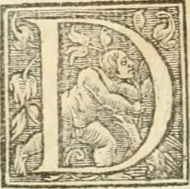 An illustration from Le sententiose imprese ; et, Dialogo, 1560, leaf 11