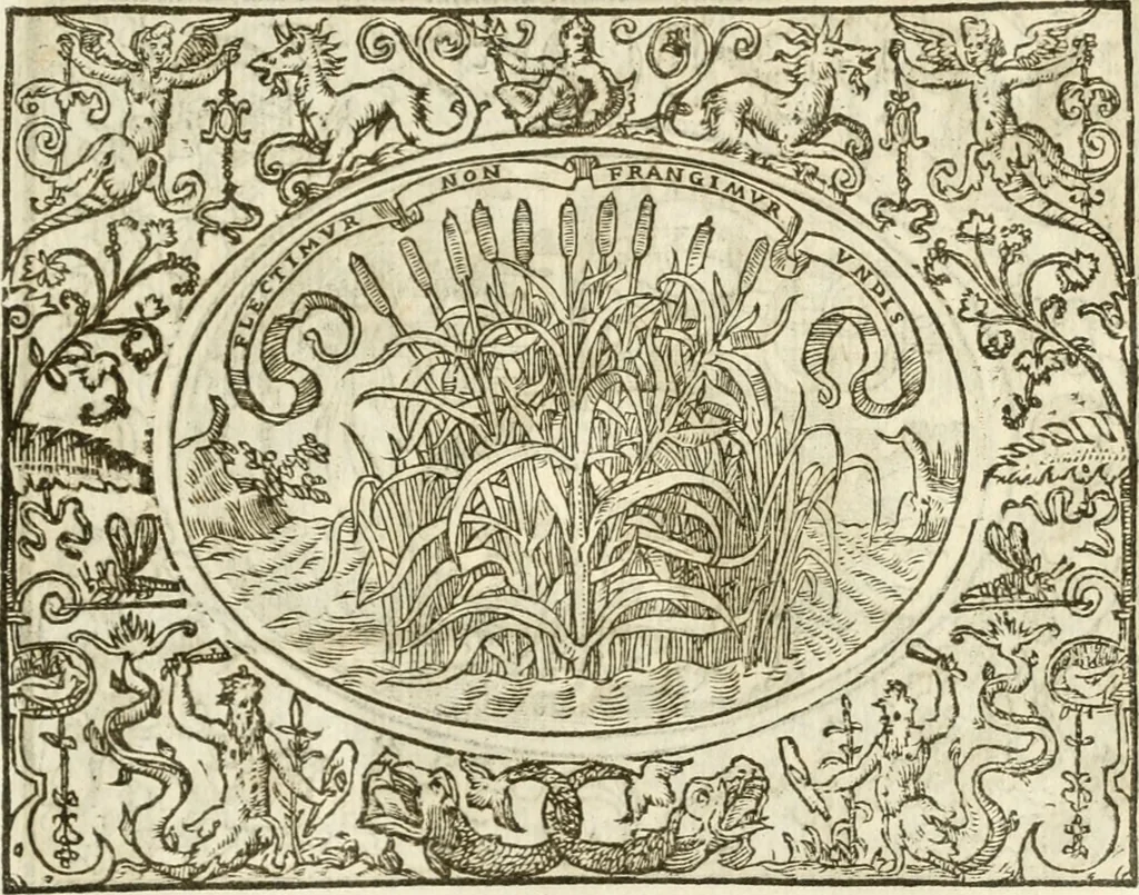 An illustration from Le sententiose imprese ; et, Dialogo, 1560, leaf 110